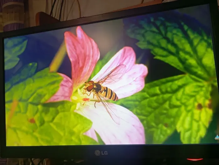 Комплект ПК Б-клас: HP Compaq Pro 6300 SFF / Intel Core i5-3470 (4 ядра по 3,2 - 3,6 ГГц) / 8 ГБ DDR3 / 500 ГБ HDD / Intel HD Graphics 2500 + Монітор LG Flatron E2242C-BN / 22" (1920x1080) TN / 1x VGA / VESA 75x75 б/в - зображення 11