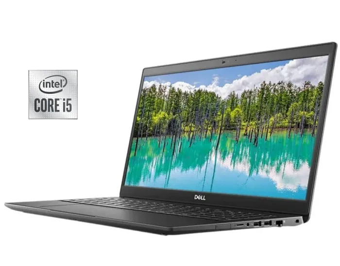 Ноутбук Б-клас Dell Latitude 3510 / 15.6" (1920x1080) IPS / Intel Core i5-10210U (4 (8) ядра по 1.6 - 4.2 GHz) / 16 GB DDR4 / 256 GB SSD / Intel UHD Graphics / WebCam б/в - зображення 1