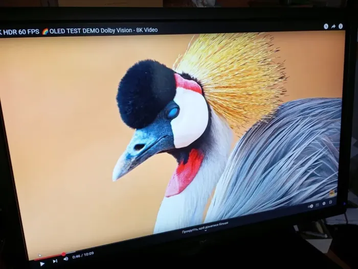 Комплект ПК: HP Compaq Pro 6300 SFF / Intel Core i5-3470 (4 ядра по 3.2 - 3.6 GHz) / 16 GB DDR3 / 500 GB HDD / Intel HD Graphics 2500 + Монітор Dell UltraSharp U2412M / 24" (1920x1200) IPS / 1x DP, 1x DVI, 1x VGA, 5x USB 2.0 / VESA 100x100 / Pivot б/в - зображення 13