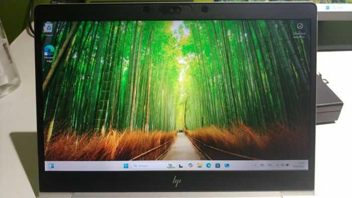 Ультрабук Б-клас HP Elitebook 745 G5 / 14" (1920x1080) IPS / AMD Ryzen 7 2700U (4 (8) ядра по 2.2 - 3.8 GHz) / 8 GB DDR4 / 128 GB SSD / AMD Radeon Vega 10 Graphics / WebCam б/в - зображення 12