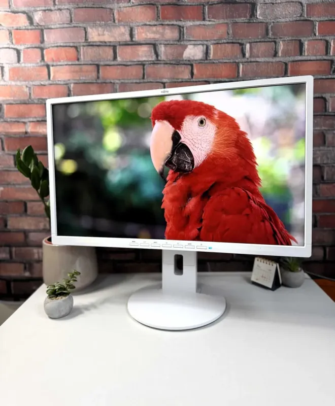 Монітор Fujitsu B24-8 TE Pro / 24" (1920x1080) IPS / VGA, DVI, DisplayPort, USB-Hub, Audio / VESA 100x100 б/в - зображення 4