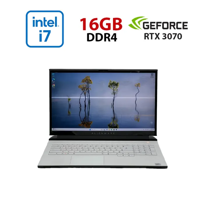 Ігровий ноутбук Б-класу Dell Alienware M17 R4 / 17,3" (1920x1080) IPS / Intel Core i7-10750H (6 (12) ядер по 2,6 - 5,0 ГГц) / 16 ГБ DDR4 / 1024 ГБ SSD NVMe / nVidia GeForce RTX 3070, 8 ГБ GDDR6, 256-біт / WebCam б/в - зображення 1