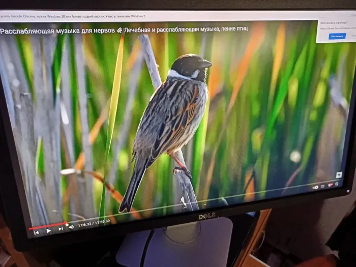 Монітор Б-класс Dell P2314Ht / 23" (1920x1080) IPS / 1x DVI, 1x DP, 1x VGA, 4x USB 2.0 / VESA 100x100 б/в - зображення 6