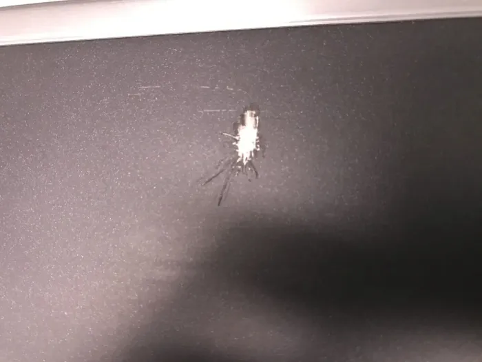 Ультрабук Б-клас Dell Latitude E7470 / 14" (1920x1080) IPS / Intel Core i5-6300U (2 (4) ядра по 2.4 - 3.0 GHz) / 8 GB DDR4 / 256 GB SSD / Intel HD Graphics 520 / WebCam / HDMI / miniDP / Windows 11 б/в - зображення 10