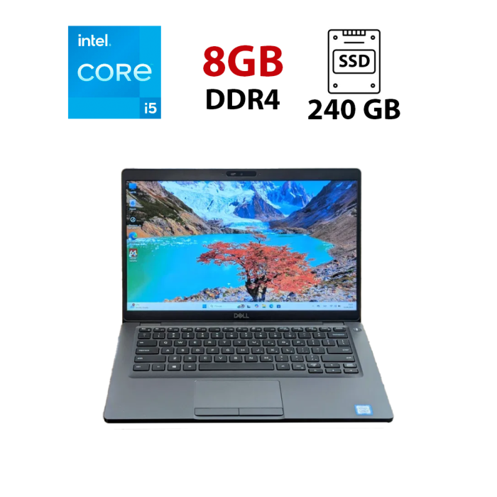 Ноутбук Б-клас Dell Latitude 5401 / 14" (1366x768) TN / Intel Core i5-9300H (4 (8) ядра по 2.4 - 4.1 GHz) / 8 GB DDR4 / 240 GB SSD / Intel UHD Graphics 630 / WebCam б/в - зображення 1