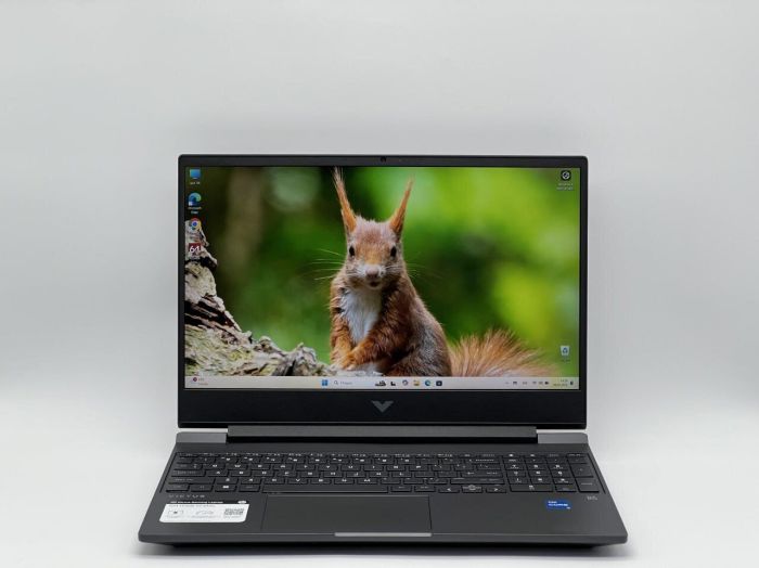 Ігровий ноутбук Б-клас HP Victus Gaming 15-fa0031dx / 15.6" (1920x1080) IPS / Intel Core i5-12450H (8 (12) ядер по 3.3 - 4.4 GHz) / 16 GB DDR4 / 480 GB SSD / nVidia GeForce GTX 1650, 4 GB GDDR5, 128-bit / WebCam б/в - зображення 2