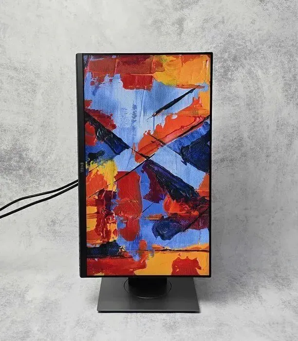 Dell P2319H / 23" (1920x1080) IPS монітор / 1x HDMI, 1x DisplayPort, 1x VGA, 2x USB 3.0, 2x USB 2.0 / VESA 100x100 / Pivotб/в - зображення 3