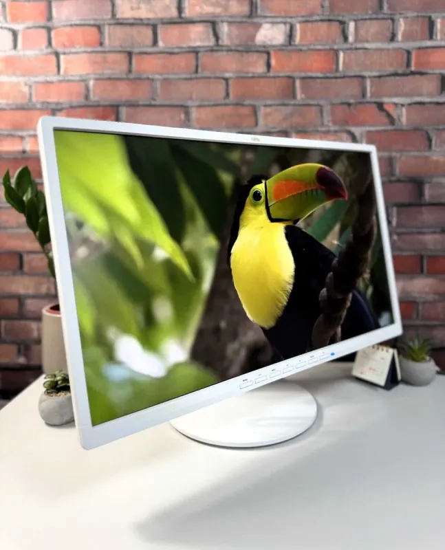 Монітор Fujitsu B24-8 TE Pro / 24" (1920x1080) IPS / VGA, DVI, DisplayPort, USB-Hub, Audio / VESA 100x100 б/в - зображення 2