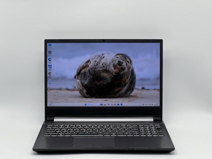 Ігровий ноутбук Б-класу Clevo Sager NH58HPQ / 15,6" (1920x1080) IPS / Intel Core i7-11800H (8 (16) ядер по 2,3 - 4,6 ГГц) / 16 ГБ DDR4 / 480 ГБ SSD / nVidia GeForce RTX 3060, 6 ГБ GDDR6, 192-біт / WebCam б/в - зображення 2