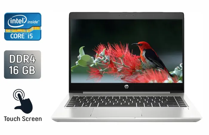 Ноутбук HP ProBook 450 G6 / 15.6" (1366x768) TN Touch / Intel Core i5-8265U (4 (8) ядра по 1.6 - 3.9 GHz) / 16 GB DDR4 / 480 GB SSD / Intel UHD Graphics / Fingerprint / WebCam / Windows 10 б/в - зображення 1