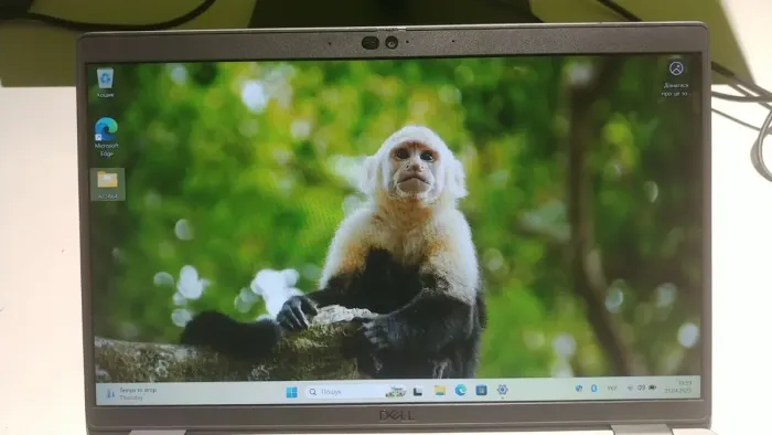 Ультрабук Б-клас Dell Latitude 5420 / 14" (1920x1080) IPS / Intel Core i5-1145G7 (4 (8) ядра по 2.6 - 4.4 GHz) / 16 GB DDR4 / 256 GB SSD M.2 / Intel Iris Xe Graphics / WebCam / USB 3.2 / HDMI / Windows 10 б/в - зображення 12