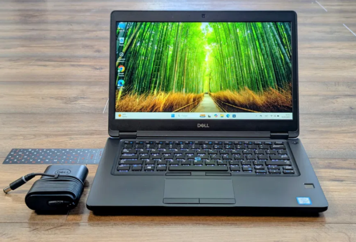 Ультрабук Dell Latitude 5490 / 14" (1920x1080) IPS / Intel Core i5-7300U (2 (4) ядра по 2.6 - 3.5 GHz) / 8 GB DDR4 / 128 GB SSD / Intel HD Graphics 620 / WebCam б/в - зображення 2