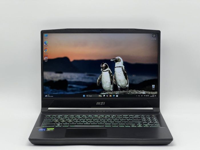 Ігровий ноутбук MSI Katana 15 B13VEK-277US / 15.6" (1920x1080) IPS / Intel Core i7-13620H (10 (16) ядер по 3.6 - 4.9 GHz) / 16 GB DDR5 / 960 GB SSD / nVidia GeForce RTX 4050, 6 GB GDDR6, 96-bit / WebCam б/в - зображення 2