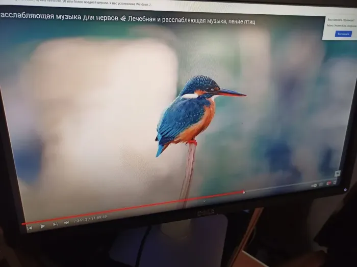 Монітор Б-класс Dell P2314Ht / 23" (1920x1080) IPS / 1x DVI, 1x DP, 1x VGA, 4x USB 2.0 / VESA 100x100 б/в - зображення 7