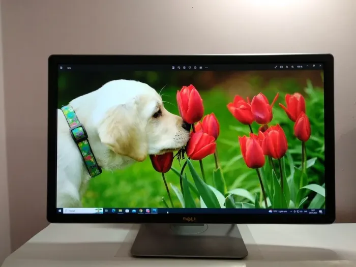 Монітор Dell P2414HB / 23.8" (1920x1080) IPS / 1x VGA, 1x DVI, 1x DP, 1x USB Type-B, 3x USB 2.0 б/в - зображення 10