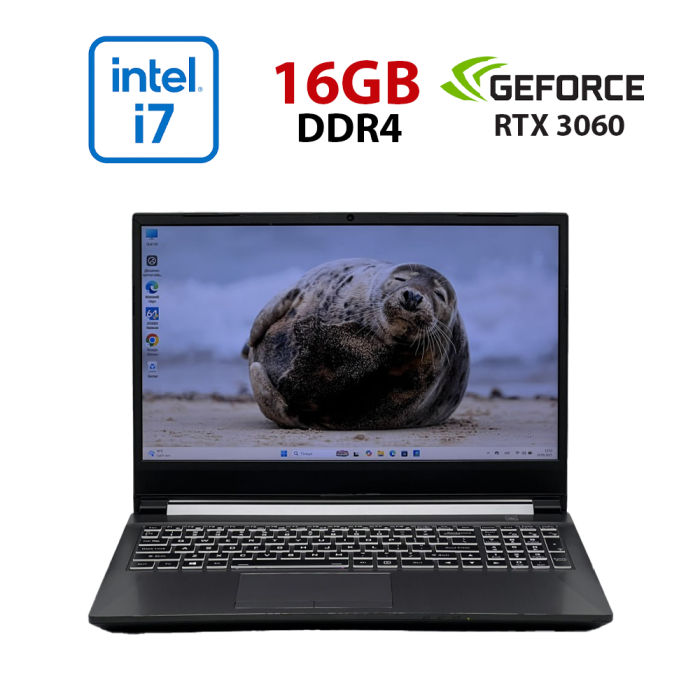 Ігровий ноутбук Б-класу Clevo Sager NH58HPQ / 15,6" (1920x1080) IPS / Intel Core i7-11800H (8 (16) ядер по 2,3 - 4,6 ГГц) / 16 ГБ DDR4 / 480 ГБ SSD / nVidia GeForce RTX 3060, 6 ГБ GDDR6, 192-біт / WebCam б/в - зображення 1