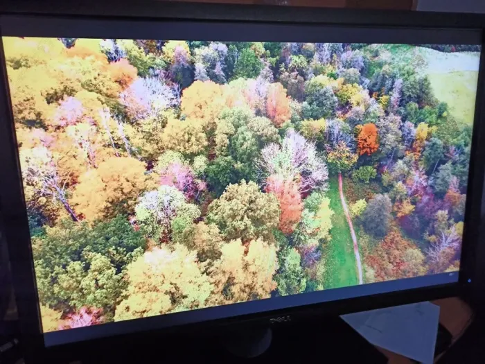 Монітор Dell UltraSharp U2412Mc / 24" (1920x1200) IPS / 1x DP, 1x DVI, 5x USB 2.0, 1x VGA / VESA 100x100 / Поворотний б/в - зображення 6