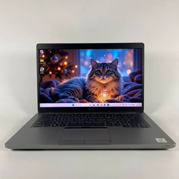 Ультрабук Dell Latitude 5411 / 14" (1920x1080) IPS / Intel Core i5-10300H (4 (8) ядра по 2.5 - 4.5 GHz) / 16 GB DDR4 / 256 GB SSD / Intel UHD Graphics / WebCam / HDMI б/в - зображення 2