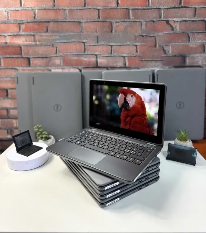 Ноутбук-трансформер Dell Latitude 3120 2-в-1 / 11,6" (1366x768) IPS Touch / Intel Pentium Silver N6000 (4 ядра по 1,1 - 3,3 ГГц) / 4 ГБ DDR4 / 120 ГБ SSD / Intel UHD Graphics / WebCam / Windows 11 б/в - зображення 2