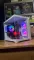 Збірка на замовлення: ігровий ПК Gamdias Aura GC10M ARGB White Tower / Intel Core i5-12400F (6 (12) ядер по 2,5 - 4,4 ГГц) / 16 ГБ DDR4 / 1000 ГБ SSD M.2 / AMD Radeon RX 6700 XT, 12 GB GDDR6, 192-bit / 650W б/в