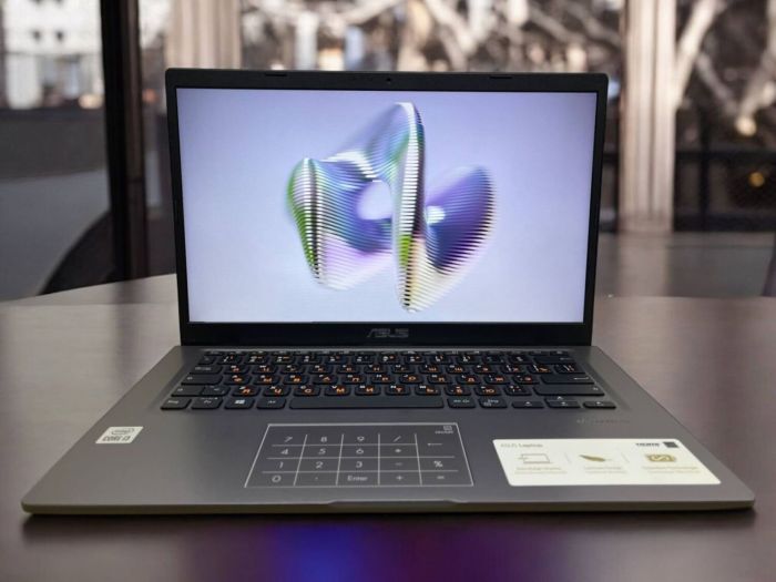 Ноутбук Asus Laptop R 465J / 14" (1920x1080) TN / Intel Core i3-1005G1 (2 (4) ядра по 1.2 - 3.4 GHz) / 8 GB DDR4 / 512 GB SSD / Intel UHD Graphics / WebCam б/в - зображення 6