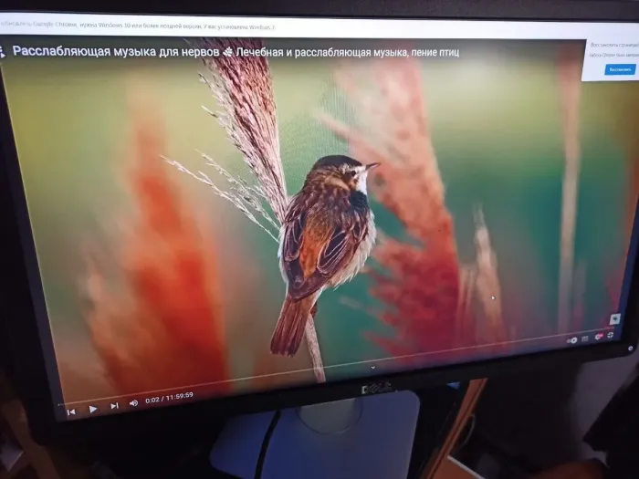 Монітор Б-класс Dell P2314Ht / 23" (1920x1080) IPS / 1x DVI, 1x DP, 1x VGA, 4x USB 2.0 / VESA 100x100 б/в - зображення 5