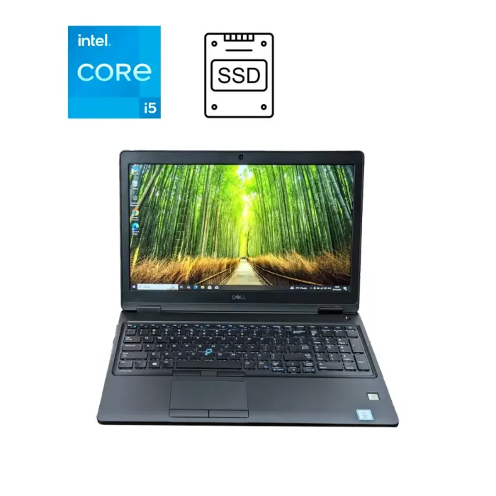 Ноутбук Dell Latitude 5580 / 15.6" (1920x1080) IPS / Intel Core i5-6300U (2 (4) ядра по 2.4 - 3.0 GHz) / 8 GB DDR4 / 250 GB SSD / Intel HD Graphics 520 / WebCam б/у - зображення 1