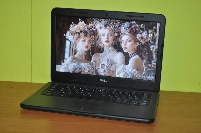 Ноутбук Dell Latitude 3310 / 13.3" (1366x768) TN / Intel Core i3-8145U (2 (4) ядра по 2.1 - 3.9 GHz) / 8 GB DDR4 / 240 GB SSD M.2 / Intel UHD Graphics / WebCam / Windows 11 Pro Education б/в - зображення 4