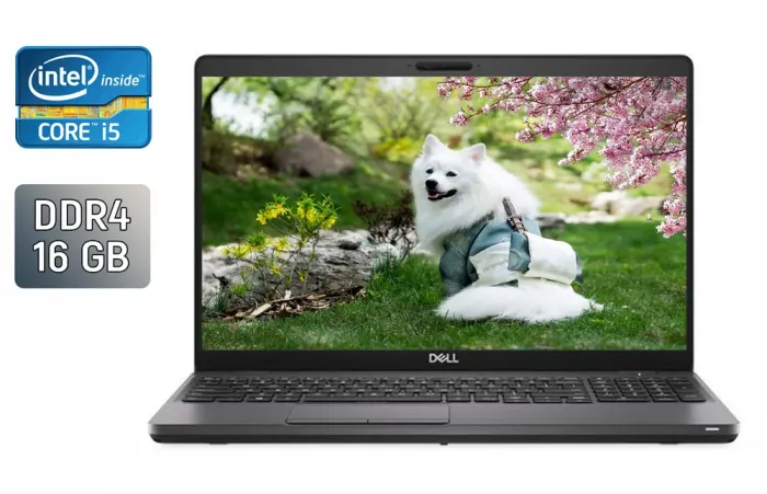 Ультрабук Dell Latitude 5500 / 15.6" (1366x768) TN / Intel Core i5-8365U (4 (8) ядра по 1.6 - 4.1 GHz) / 16 GB DDR4 / 256 GB SSD / Intel UHD Graphics / HDMI / WebCam б/в - зображення 1