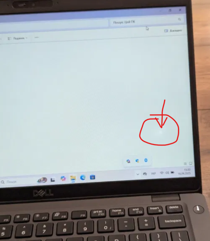 Ноутбук Б-клас Dell Latitude 5401 / 14" (1366x768) TN / Intel Core i5-9300H (4 (8) ядра по 2.4 - 4.1 GHz) / 8 GB DDR4 / 240 GB SSD / Intel UHD Graphics 630 / WebCam б/в - зображення 9
