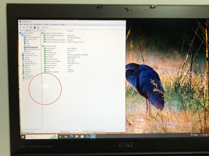 Мобільна робоча станція Б-класу Dell Precision M6600 / 17.3" (1920x1080) TN / Intel Core i7-2820QM (4 (8) ядра по 2.3 - 3.4 GHz) / 16 GB DDR3 / 240 GB SSD / nVidia Quadro 3000M, 2 GB GDDR5, 256-bit / WebCam / DVD-ROM б/в - зображення 10