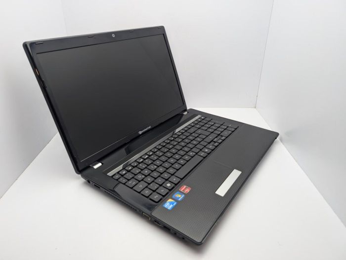 Ноутбук Packard Bell Easynote LM85 / 17.3" (1600x900) TN / Intel Core i3-370M (2 (4) ядра по 2.4 GHz) / 6 GB DDR3 / 500 GB HDD / AMD Radeon HD 5650, 1 GB GDDR3, 128-bit / WebCam / DVD-ROM б/в - зображення 6