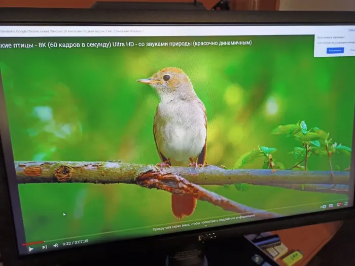 Монітор Б-клас Dell UltraSharp U2312HMt / 23" (1920x1080) IPS / 1x DVI, 1x VGA, 1xDP, 4x USB 2.0, 1x USB Type-B / VESA 100x100  б/в - зображення 7