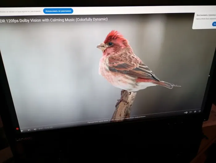 Комплект ПК: Lenovo ThinkCentre E73 Tower / Intel Core i3-4170 (2 (4) ядра по 3.7 GHz) / 8 GB DDR3 / 500 GB HDD / Intel HD Graphics 4400 + Монітор Lenovo ThinkVision T2224d / 22" (1920x1080) IPS / 1x DP, 1x VGA / VESA 100x100 б/в - зображення 10
