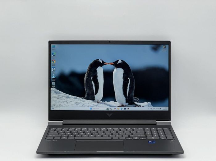 Ігровий ноутбук HP Victus 16-r0073cl / 16.1" (1920x1080) IPS / Intel Core i7-13700HX (16 (24) ядер по 2.1 - 5.0 GHz) / 32 GB DDR5 / 480 GB SSD / nVidia GeForce RTX 4060, 8 GB GDDR6, 128-bit / WebCam б/в - зображення 2