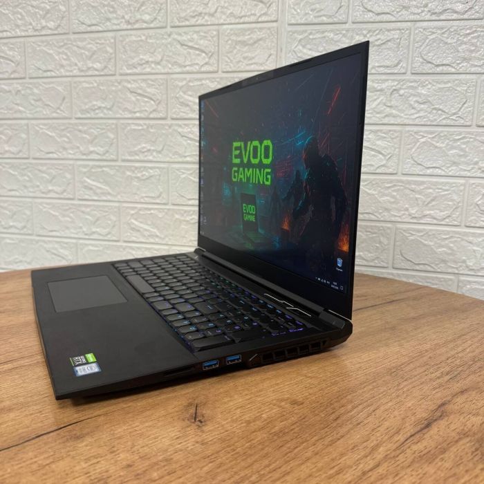 Ігровий ноутбук Evoo Gaming EG-LP6-BK / 17.3" (1920x1080) IPS / Intel Core i7-9750H (6 (12) ядер по 2.6 - 4.5 GHz) / 16 GB DDR4 / 1000 GB SSD NVMe / nVidia GeForce RTX 2060, 6 GB GDDR6, 192-bit / WebCam б/в - зображення 5