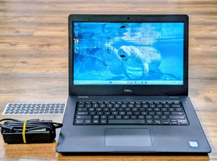 Ноутбук Dell Latitude 3490 / 14" (1366x768) TN / Intel Core i5-7200U (2 (4) ядра по 2.5 - 3.1 GHz) / 8 GB DDR4 / 256 GB SSD / Intel HD Graphics 620 / WebCam б/в - зображення 2