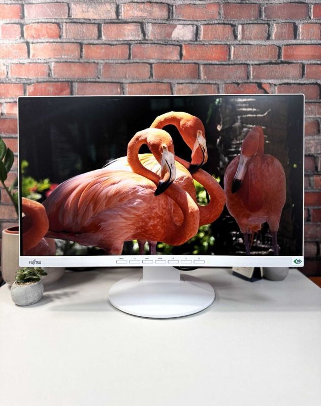 Монітор Fujitsu B24-9T / 24" (1920x1080) IPS / VGA, DVI, DisplayPort, USB-Hub, Audio / VESA 100x100 б/в - зображення 2