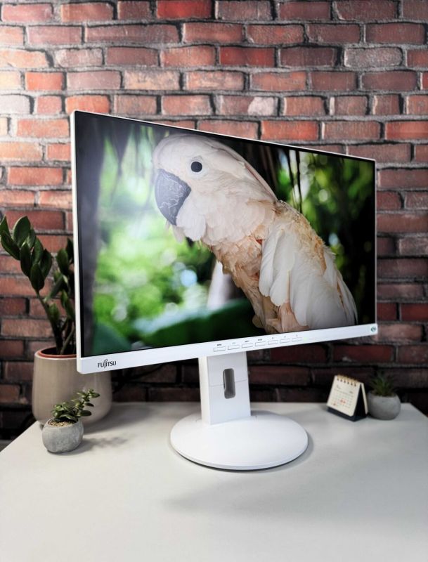 Монітор Fujitsu B24-9T / 24" (1920x1080) IPS / VGA, DVI, DisplayPort, USB-Hub, Audio / VESA 100x100 б/в - зображення 4