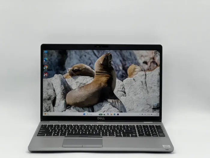 Ноутбук Dell Latitude 5510, i5-10310U, 16 GB, 512 GB, Intel UHD Graphics, 1920x1080, IPS [SH2506832] БУ - зображення 1