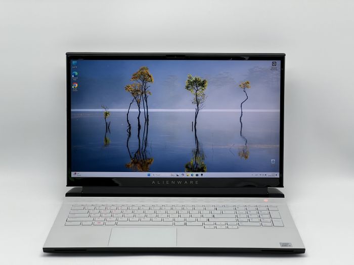 Ноутбук Dell Alienware M17 R4, i7-10750H, 16 GB, 1024 GB, NVIDIA GeForce RTX 3070, 1920x1080, IPS [SH2505944] БУ - зображення 1
