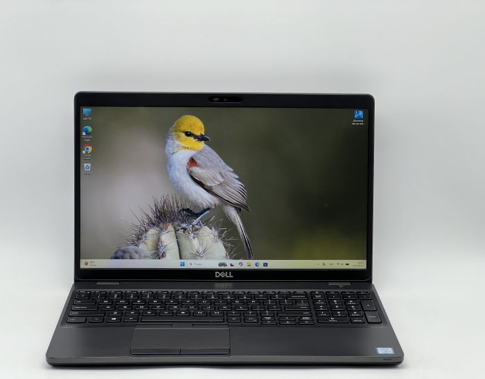 Ноутбук Dell Latitude 5500, i5-8265U, 16 GB, 240 GB, Intel UHD 620, 1920x1080, IPS [SH2504924] БУ - зображення 1