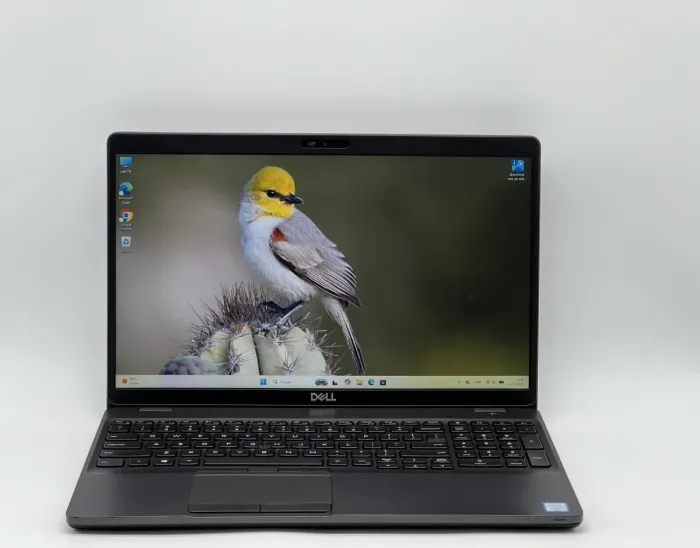 Ноутбук Dell Latitude 5500, i5-8265U, 16 GB, 240 GB, Intel UHD 620, 1920x1080, IPS [SH2504924] БУ - зображення 1