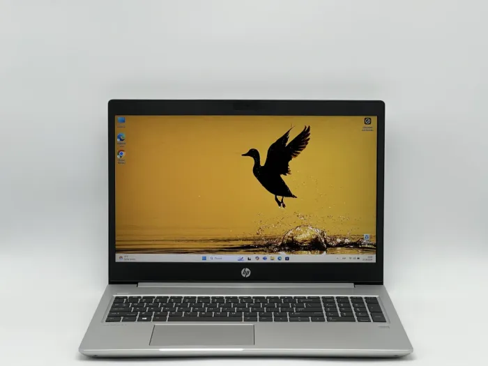 Ноутбук HP ProBook 455 G7, AMD Ryzen 5 4500U, 16 GB, 240 GB, AMD Radeon Graphics, 1920x1080, IPS [SH2606505] БУ - зображення 1